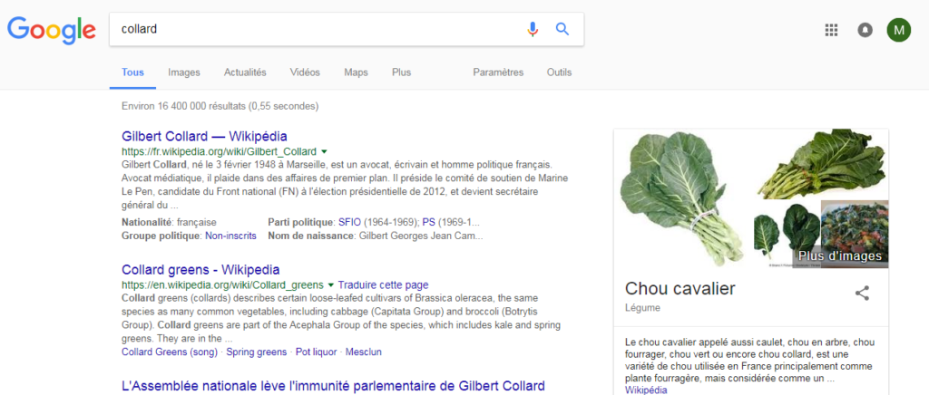 Le Chou Cavalier est très bien positionné dans les résultats de Google lorsqu'on recherche Collard