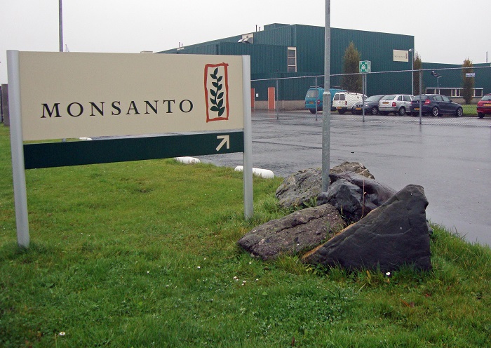 Bureau local de Bayer-Monsanto au San Theodoros