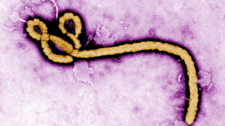 Fort de son succès, Ebola obtient un siège permanent à l’Union Africaine