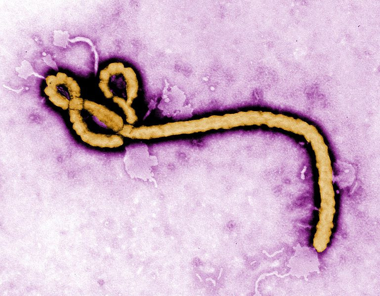 Fort de son succès, Ebola obtient un siège permanent à l'Union Africaine